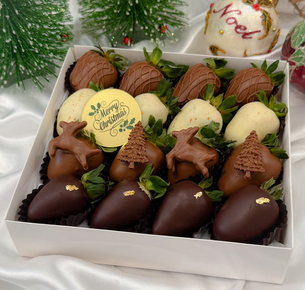Merry Christmas Gift Box